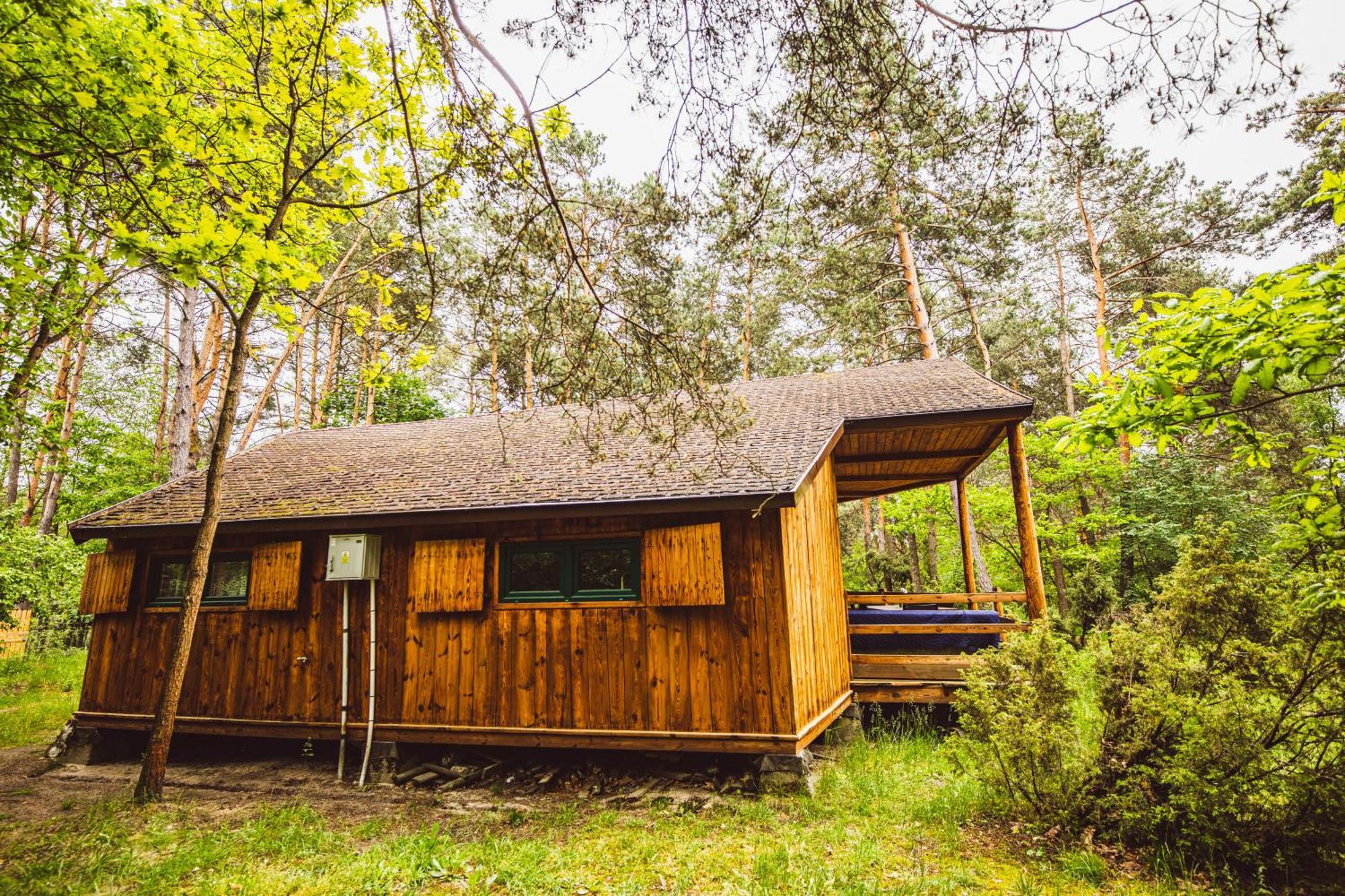 Cozy Nature Retreat With Patio Fireplace Garden Maciejowice Exterior photo