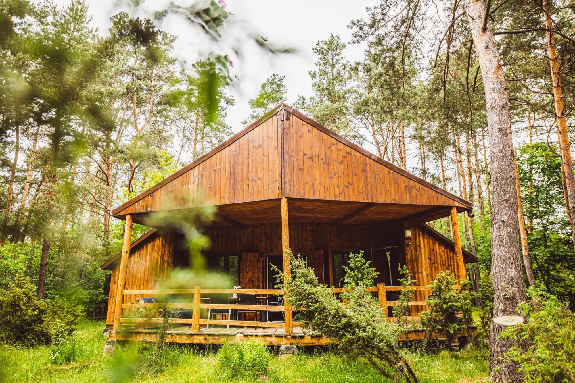 Cozy Nature Retreat With Patio Fireplace Garden Maciejowice Exterior photo