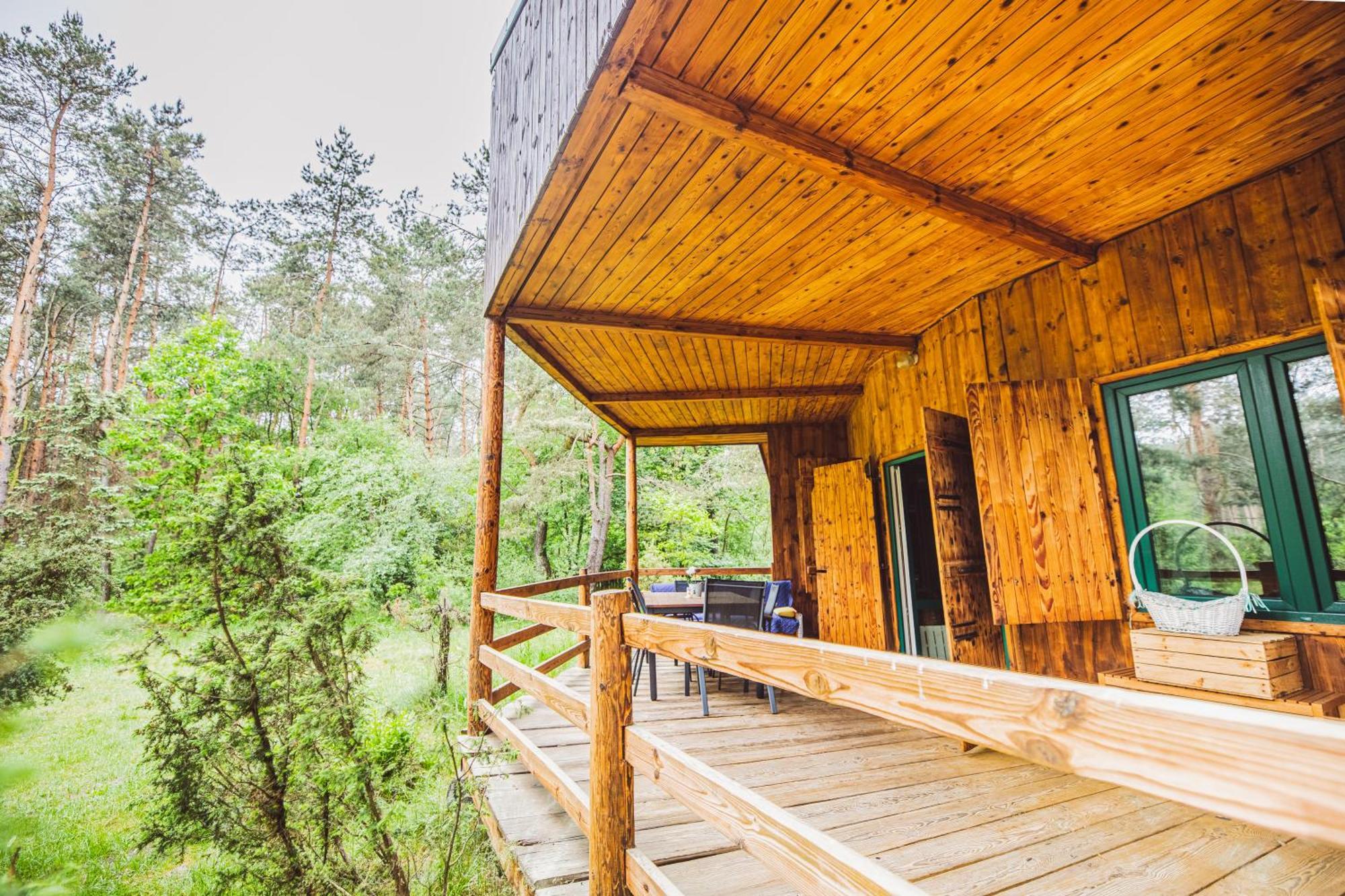 Cozy Nature Retreat With Patio Fireplace Garden Maciejowice Exterior photo