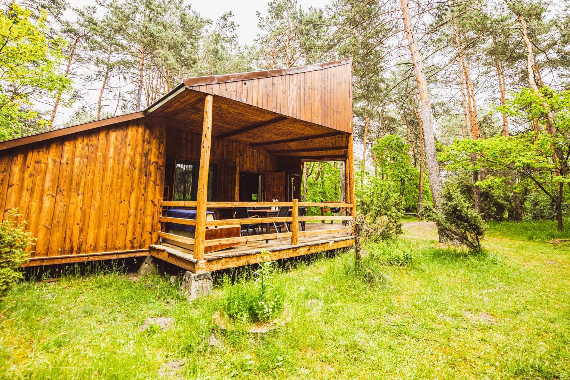 Cozy Nature Retreat With Patio Fireplace Garden Maciejowice Exterior photo